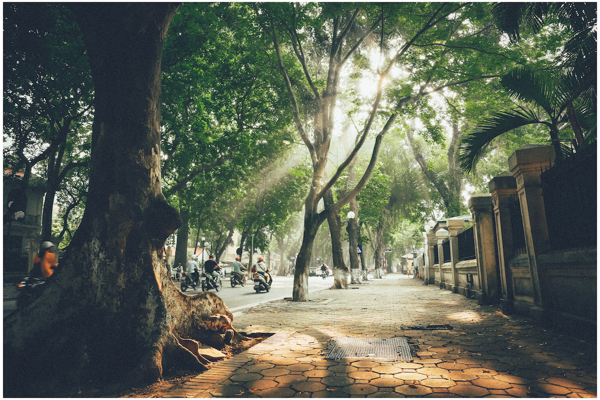 Nắng xiên trên con đường Phan Đình Phùng tạo ra không gian thơ mộng