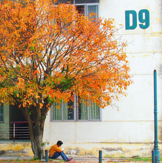 Top 7 trường đại học có view đẹp nhất Hà Nội khiến giới trẻ “đổ xô ...