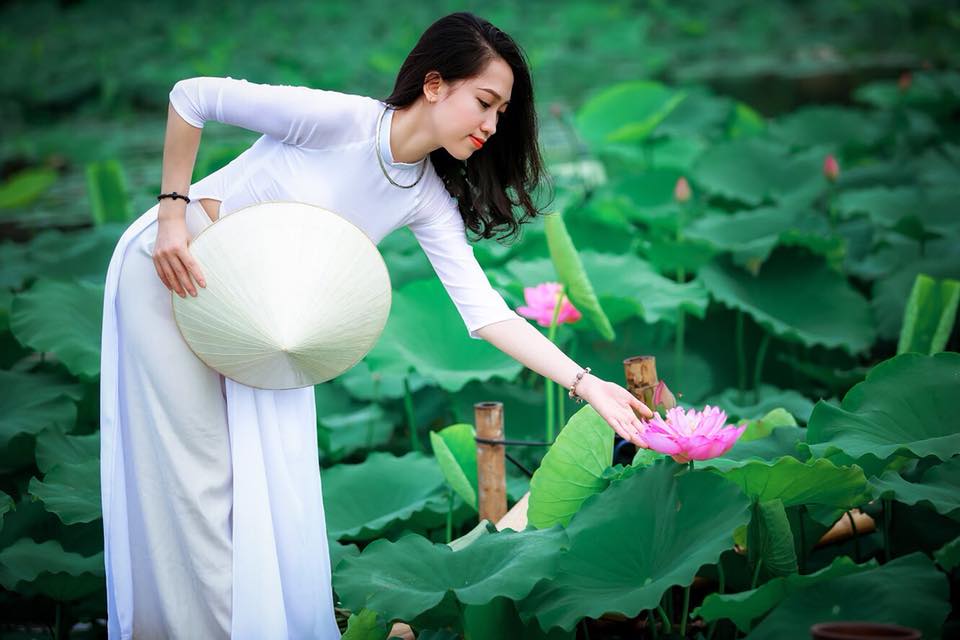 Đầm sen Hà Nội: Một khu vườn đầm sen tuyệt đẹp nằm giữa trung tâm đô thị Hà Nội sẽ mang đến cho bạn một trải nghiệm thú vị hoàn toàn khác biệt. Hãy khám phá không gian yên bình, thanh tịnh và tận hưởng cảm giác hòa mình vào thiên nhiên khi đến với đầm sen Hà Nội.