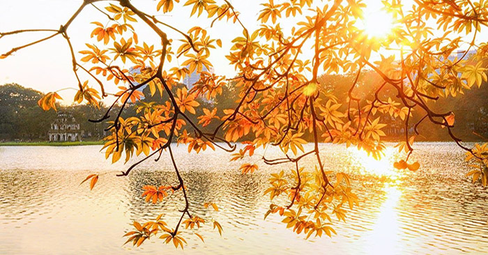 Chia sẻ hơn 83 hình ảnh mùa thu hà nội siêu hot - Tin Học Vui